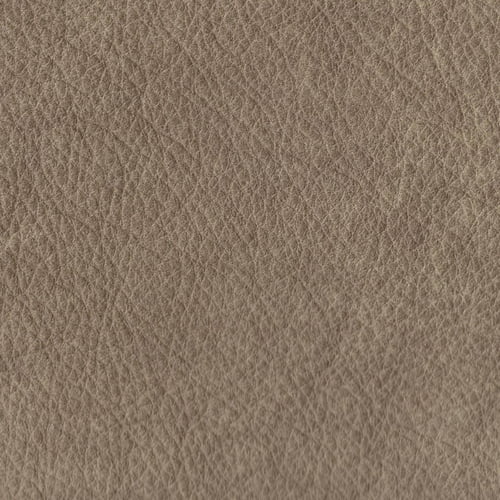 Cloudy Day (Leather)