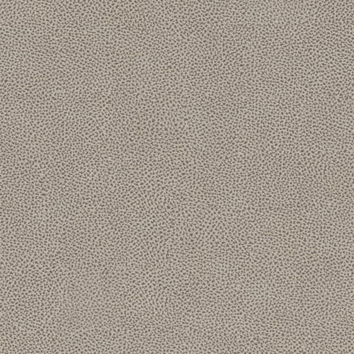Fossil