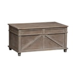 Parkland Falls Storage Trunk
