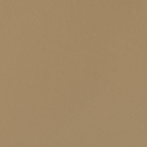 Caffe Latte (Leather)