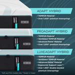 ProAdapt 2.0 Firm SALE