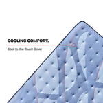 Dupont II Medium SALE