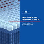 High Point Hybrid Medium SALE