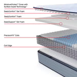 Medina II Medium SALE